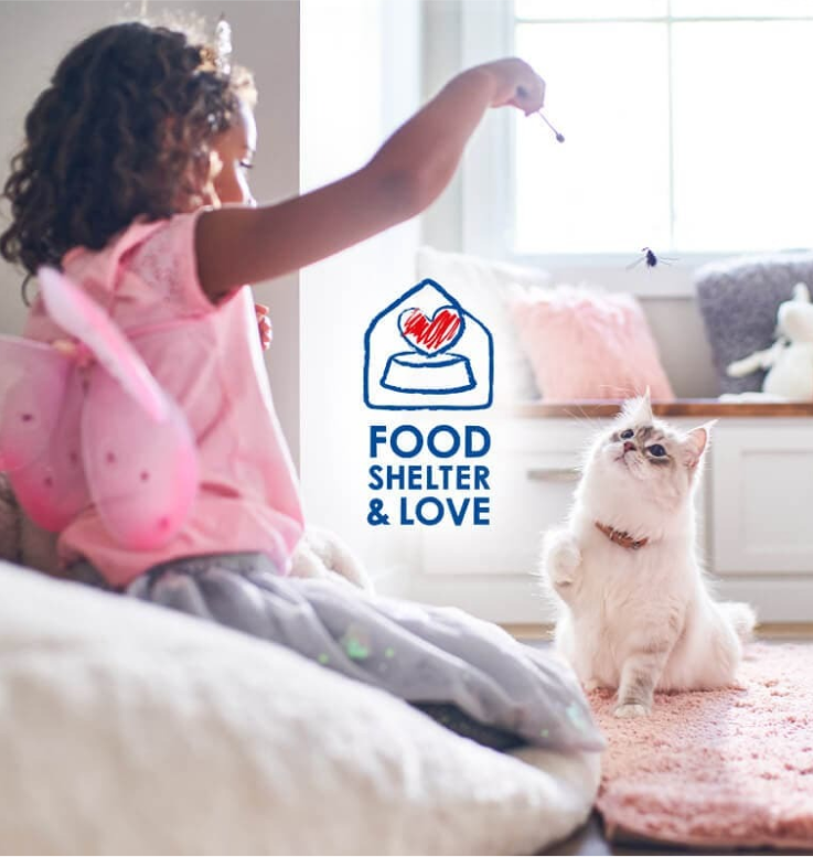 Niña jugando con su gato