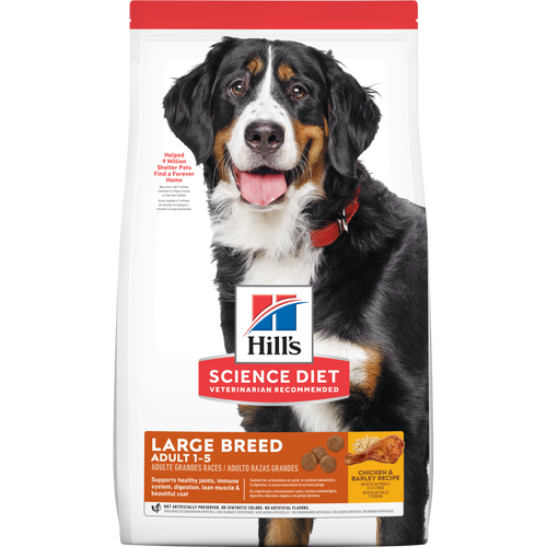 Adult Large Breed, alimento para perros de razas grandes Packshot